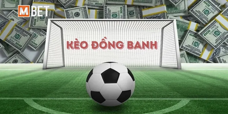 Bí quyết soi kèo đồng banh bất bại từ cao thủ