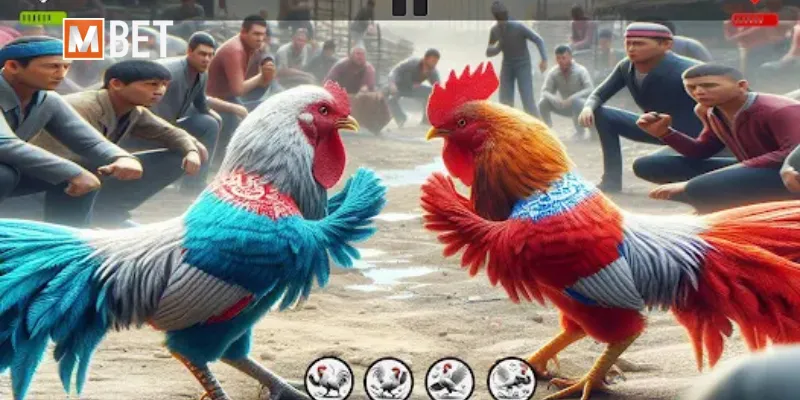 Chi tiết top 4 game đá gà 3D hấp dẫn nhất thị trường 2025