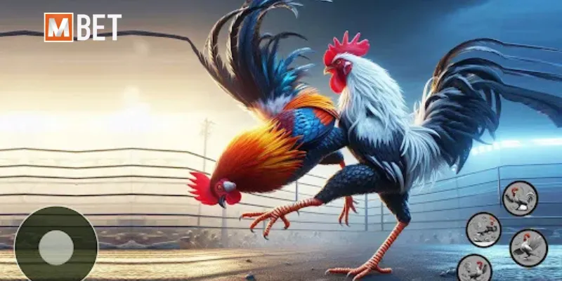 Top 4 game đá gà 3D - Số  3 game đá gà Mbet