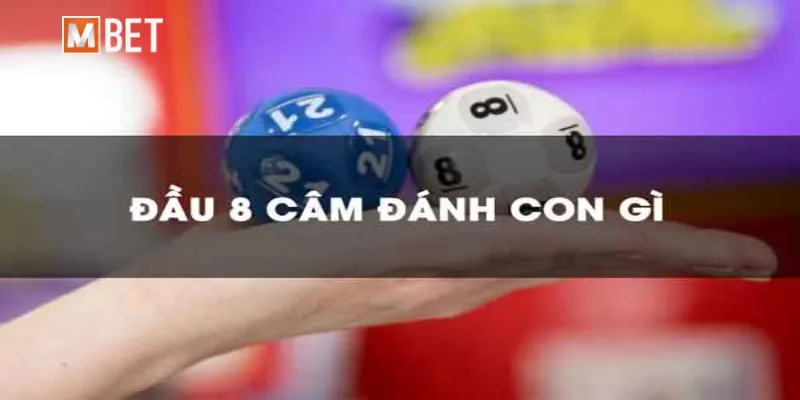 Lô câm đầu 8 hôm sau đánh con gì để thắng lớn? Tìm hiểu nhé!