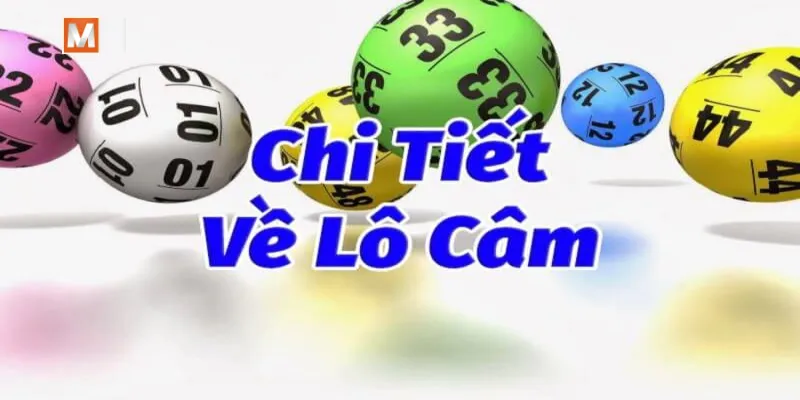 Những kinh nghiệm xương máu khi soi cầu đầu lô câm